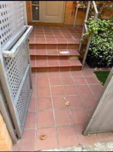 WhatsApp Image 2025-11-03 at 14.36.59 (1)