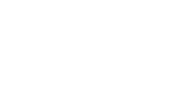 Arquitectura y Conexión